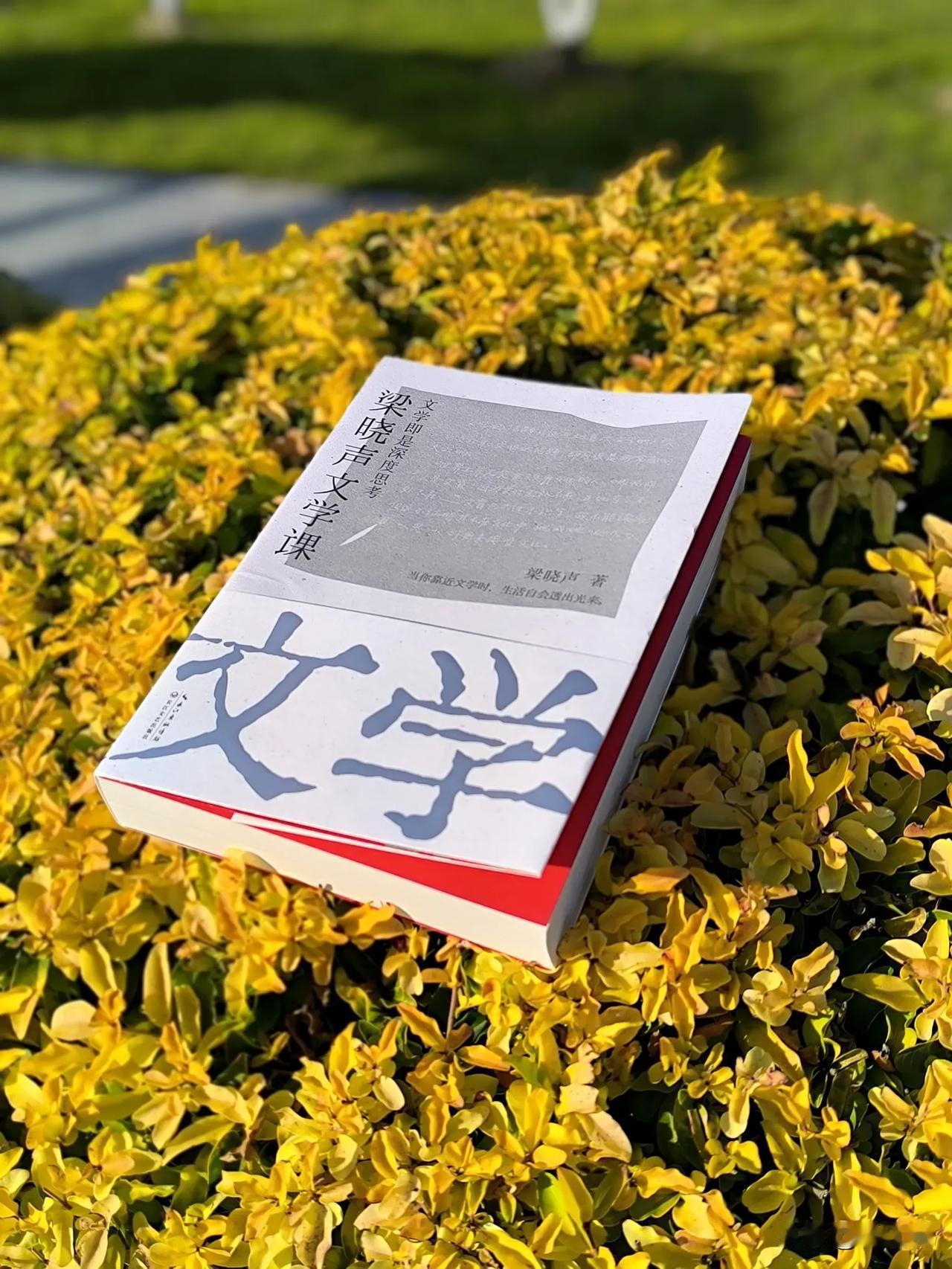 电视剧《人世间》的爆火后，也让无数了记住了作家梁晓声。这本由小说《人世间》改