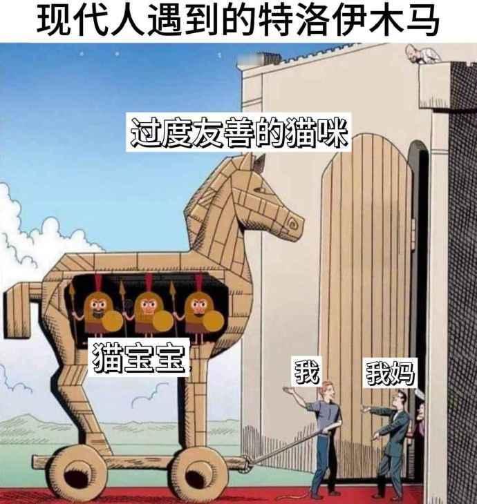 我：“妈，你要当太姥姥了”​​​​
