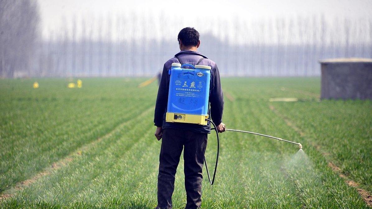 水溶肥和复合肥的对决: 一斤水溶肥能否胜过几斤复合肥?