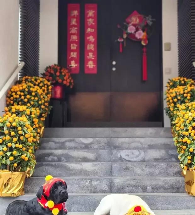 刘嘉玲豪宅庆生宴曝光！双胞胎