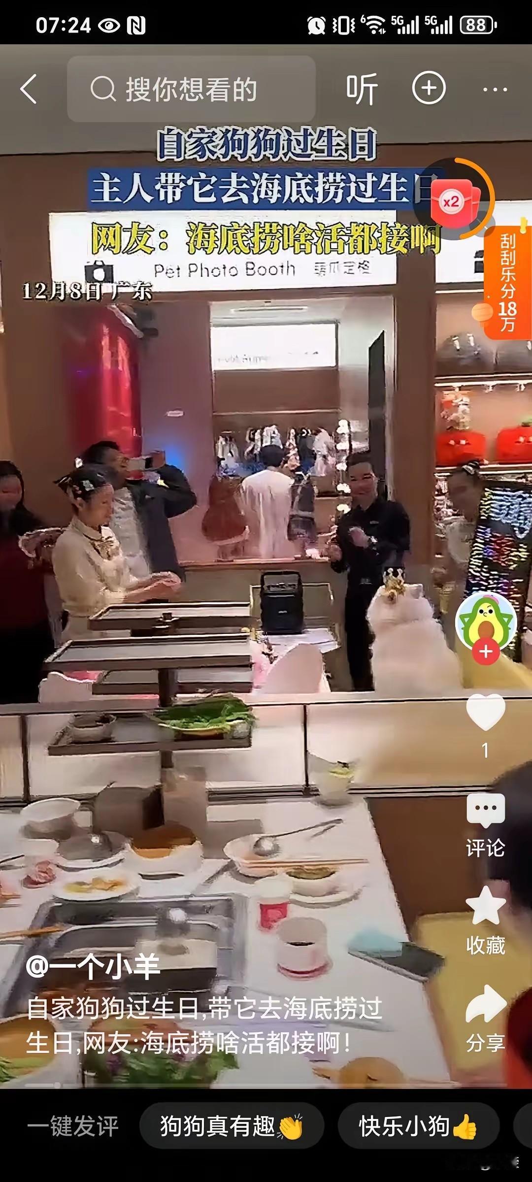 不是说你有钱就可以任性！在大庭广众之下，居然给狗过生日，甚至还恬不知耻的为狗高唱