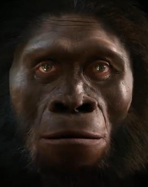 人到底是不是猿猴变的？今天我来告诉你们答案。我可以肯定的告诉你们，不是的。