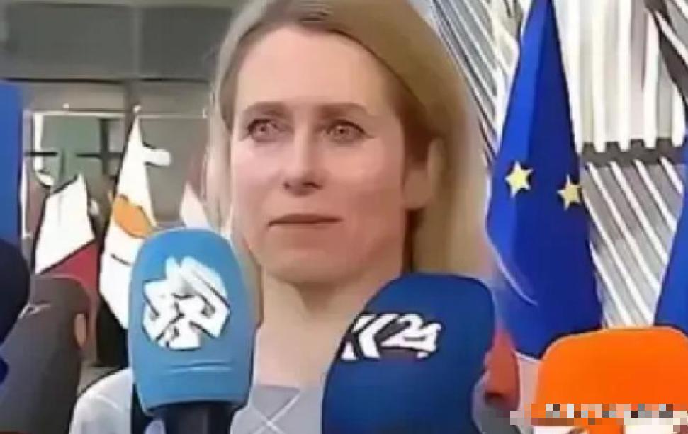 2026年春天，欧盟甩出一份五页纸的新规，给全球科研圈投下了一颗重磅炸弹：从今年