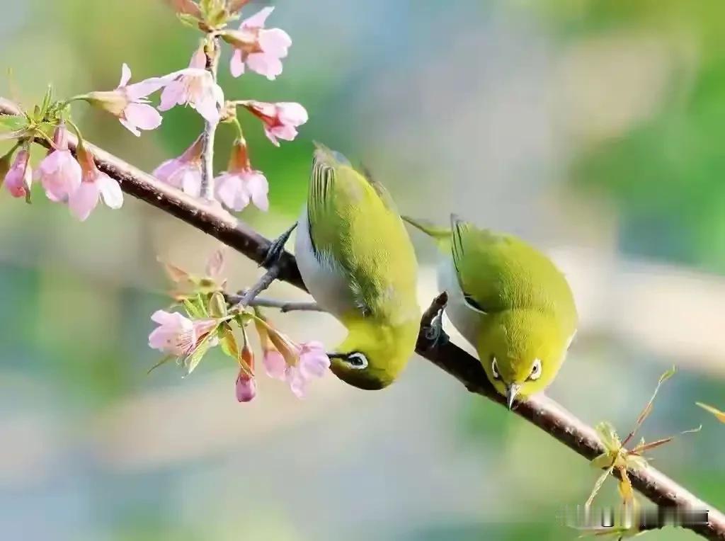 婚姻的好坏，取决于什么？说句大实话：婚姻好不好，不看你嫁了多有钱的人，也不看