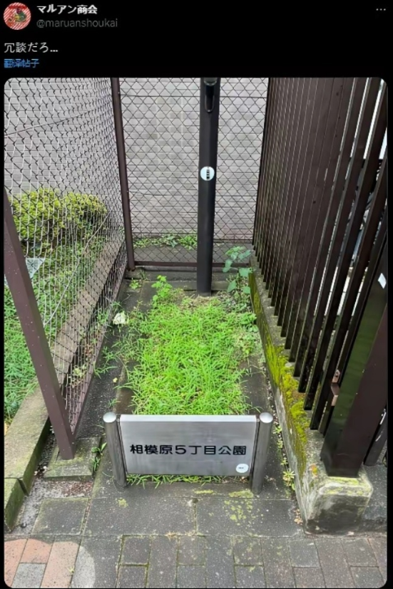 日本街头的“最小公园”？