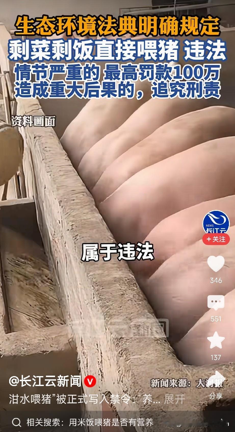 以后，家里的剩菜剩饭不能随便喂猪了！8月15日起正式施行的《中华人民共和国生