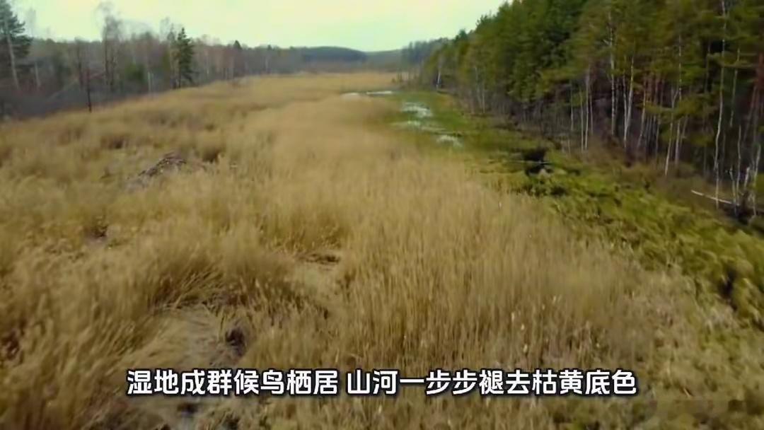 卫星影像记录中国生态巨变衷的令人向往，钦佩也狠狠震惊了外围。央视网发布卫星实拍画