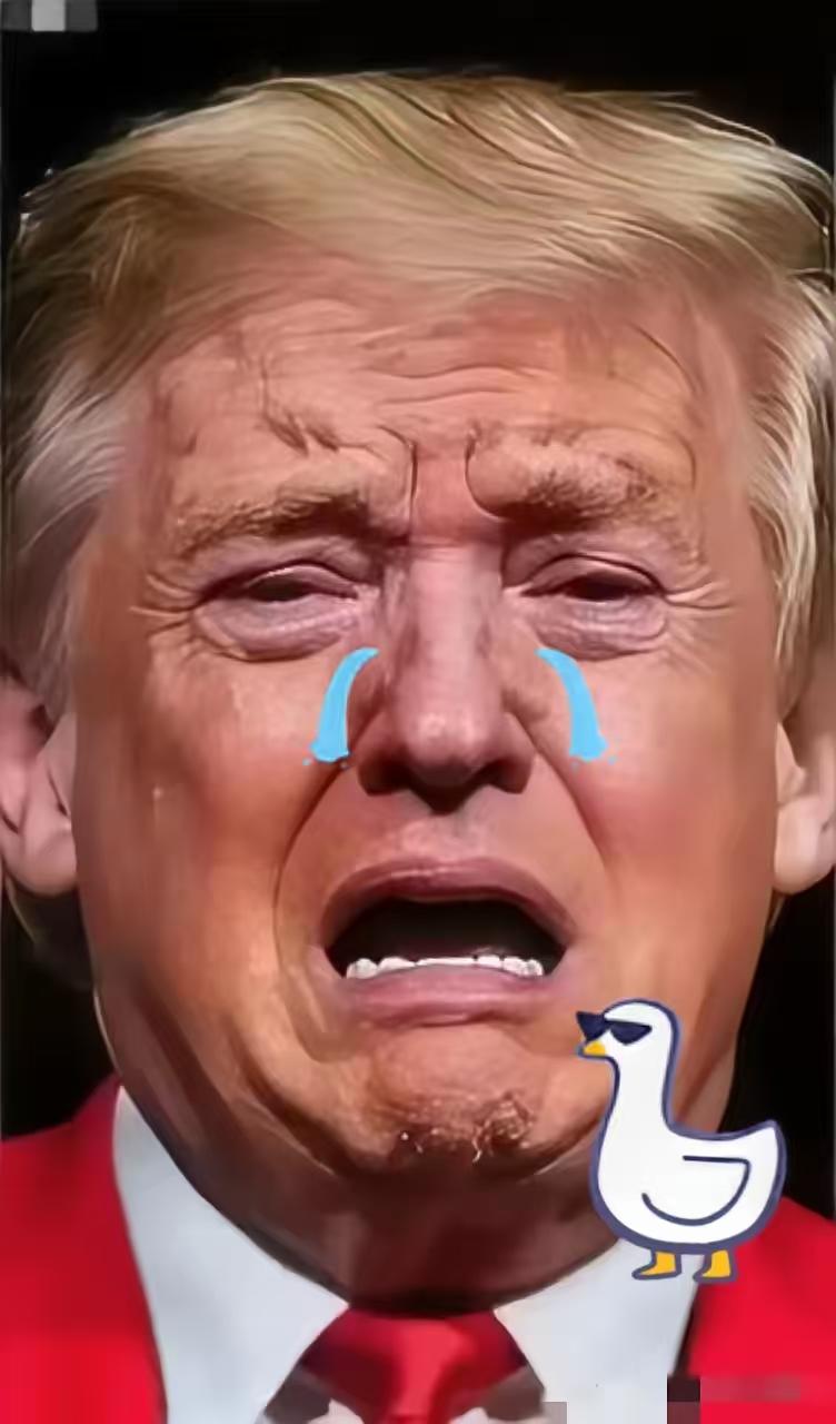 新闻！快讯！美国参议院领袖宣布了！2025年11月6日美国，参议院多数党领袖