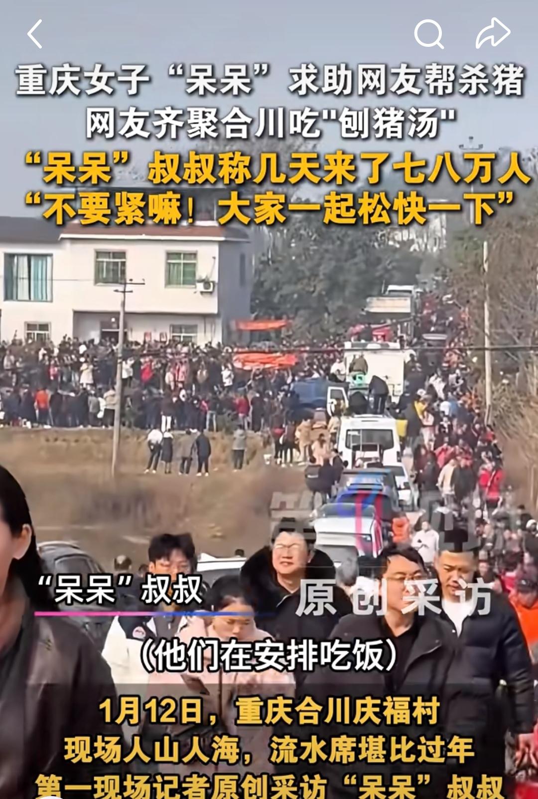 谁能想到！合川呆呆爆红后，被骂“恶心”的居然是翻地的邻居？上万网友奔赴