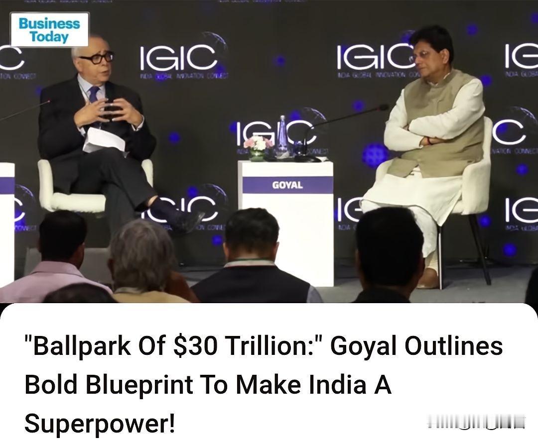 印度商务部长吹牛不打草稿！印度商务部长皮尤什·戈亚尔在印度全球创新互联峰会（I