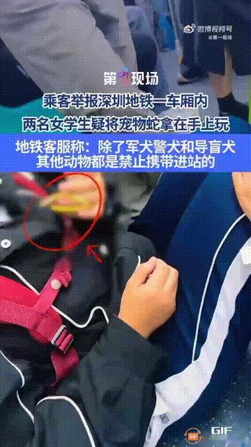 太吓人了！广东深圳一辆地铁上，两名女学生坐在位置上时，居然拿出两条宠物蛇来玩耍，