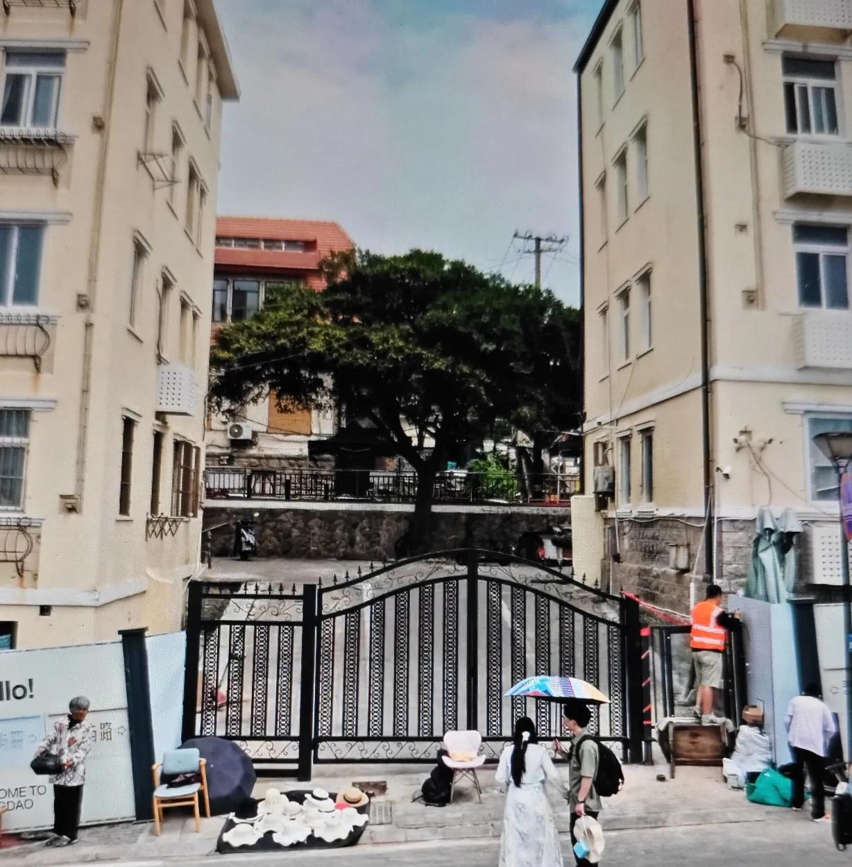 青岛网红打卡地市南区琴屿路孤独的树被封闭起来了，现在进不去了，去打卡的只能在铁门