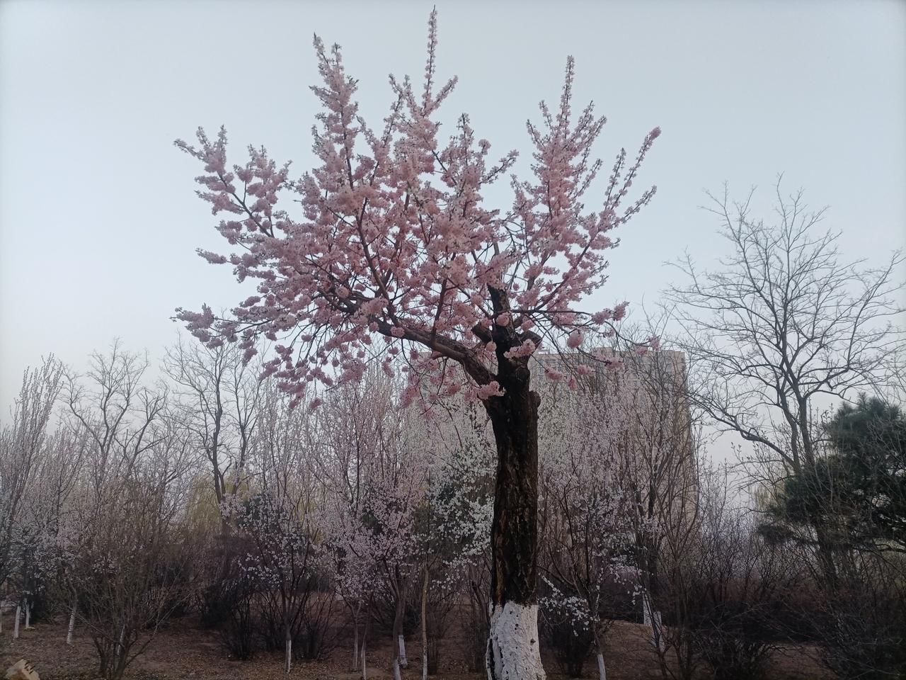 一定要告诉孩子，八个底线千万不能碰——1．缺钱只找爸妈，不要向校园贷借款。