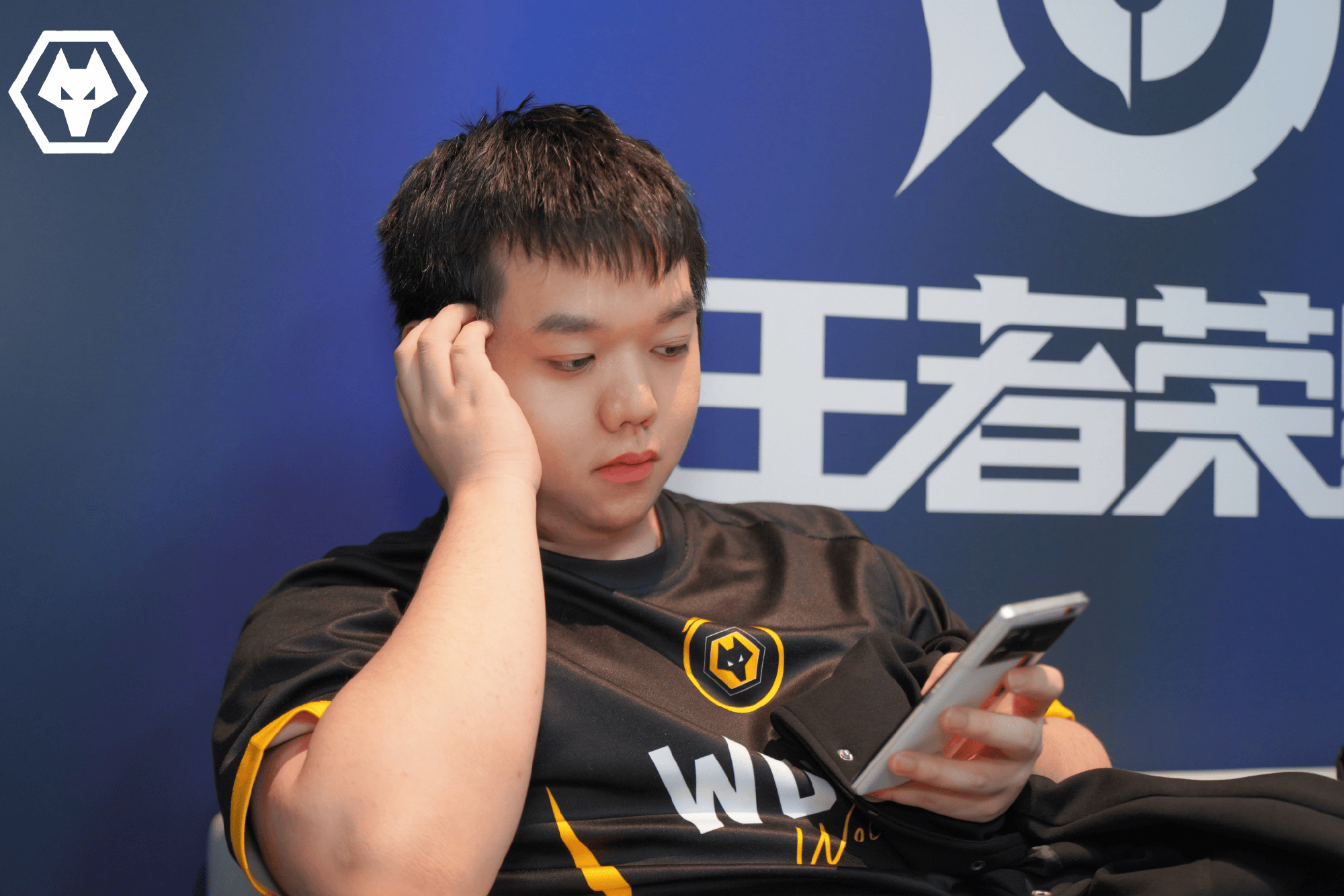 狼队晋级年总决赛, 樱花生涯BO7胜率高达100%