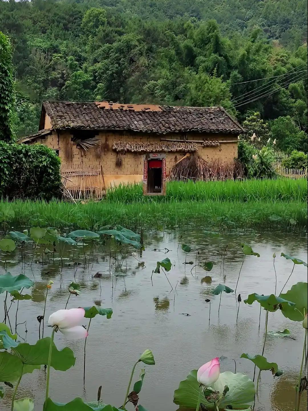 我朋友46，最近因为一段感情，痛苦到偏执！她跟老公各过各的，十几年，不交流不离婚