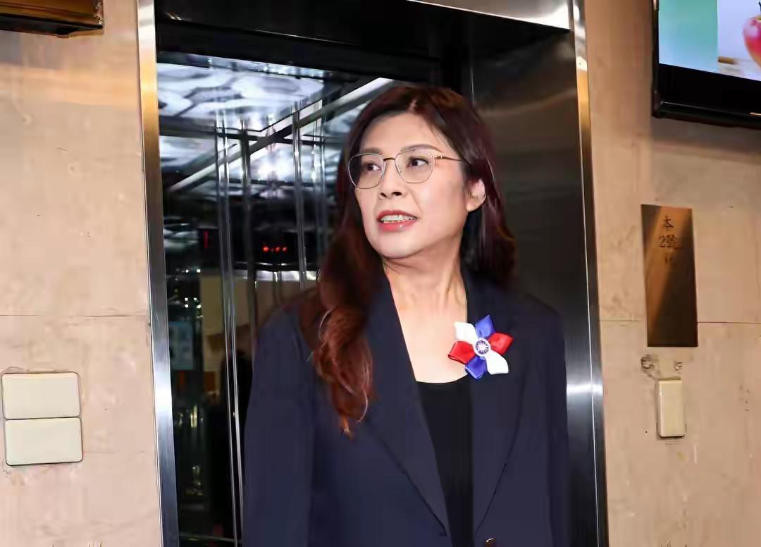 郑丽文两大动作铺路访陆，蓝营大佬却吃里扒外遭打脸郑丽文的国民党主席地位渐稳