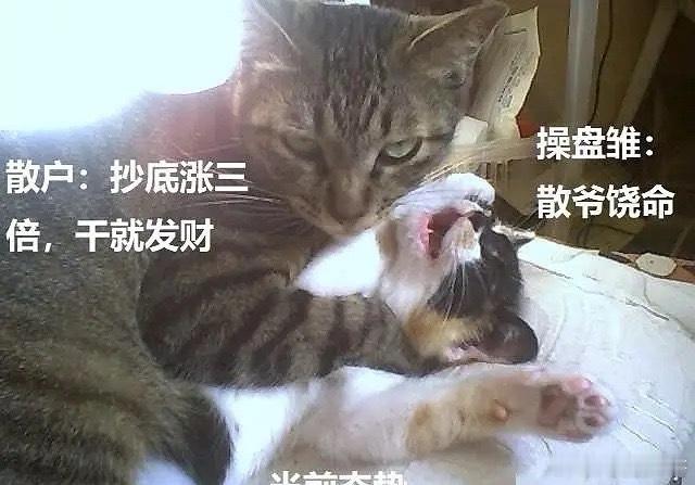 底部放倍量十大个股1.福蓉科技——倍量8.11，消费电子行业2.安培龙——倍量5