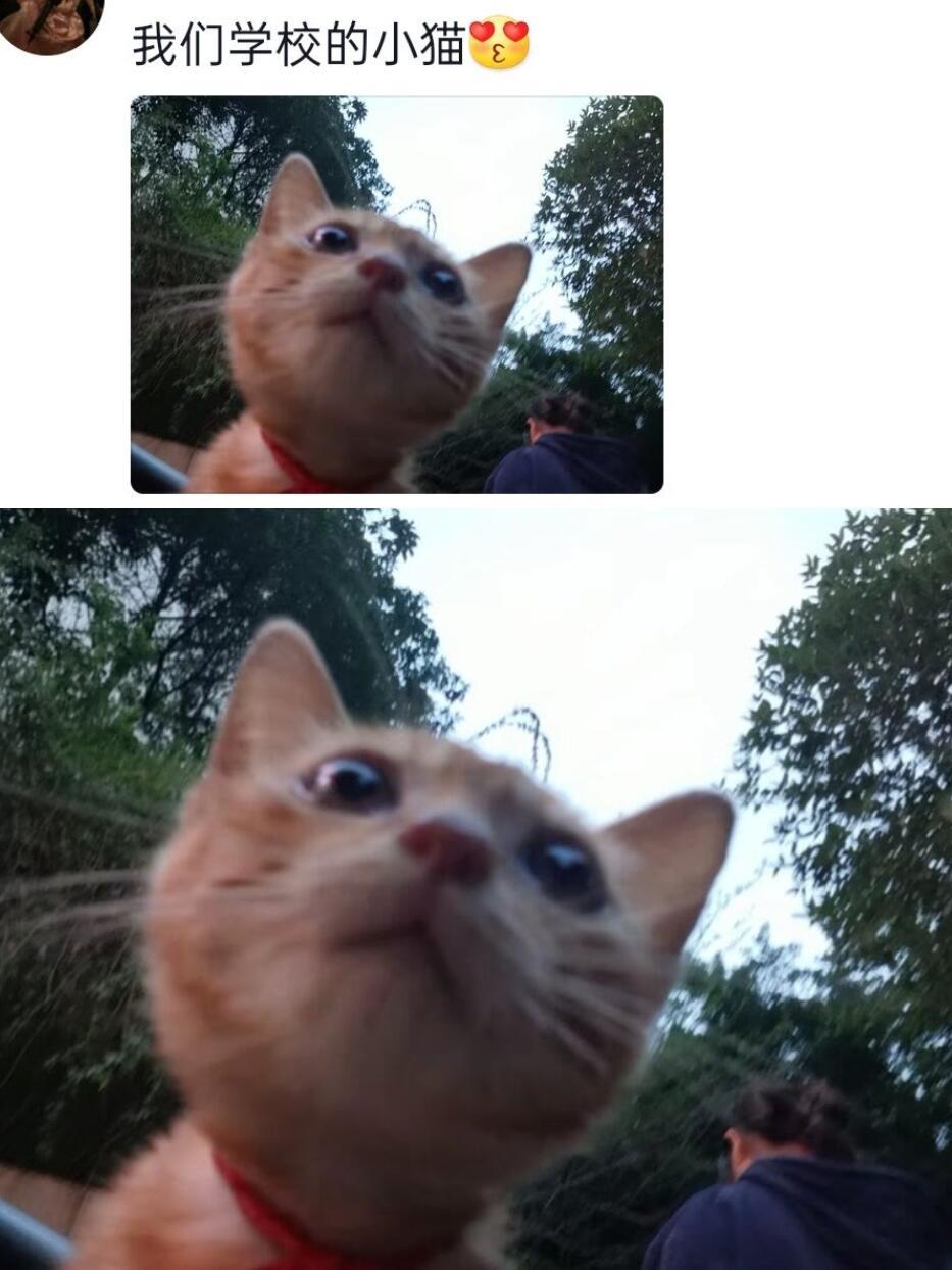 它真的好像一个小宝宝​​​