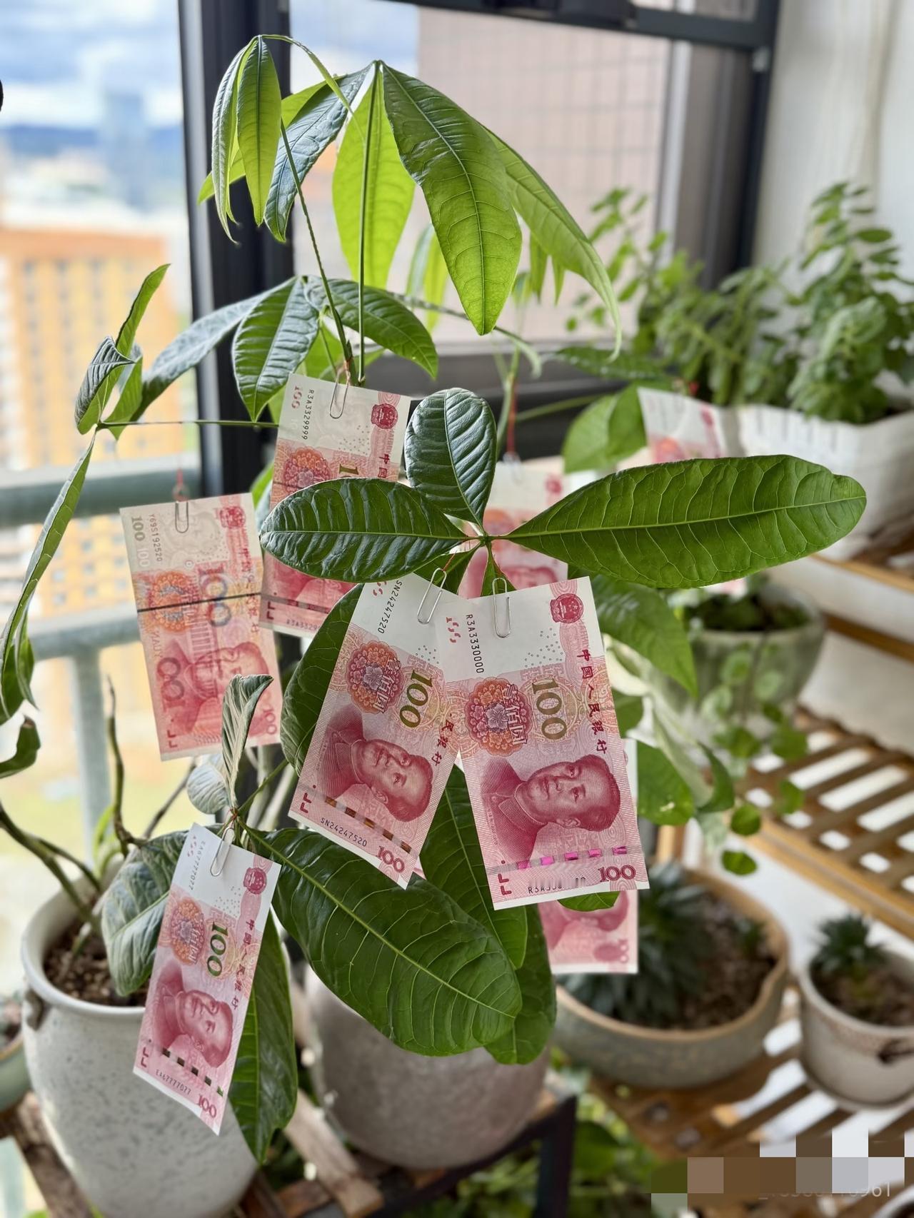 穷人变富最大的障碍是什么?别再怪没本金没机会了，穷人变富最坑的坎其实是自己的“