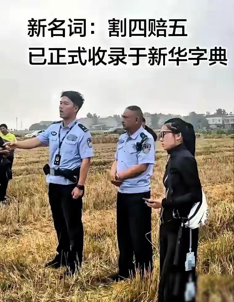 割四赔五，还没完！05后小夫妻在第二天：测了亩数也没用连夜撤退。俩河南年轻人大老