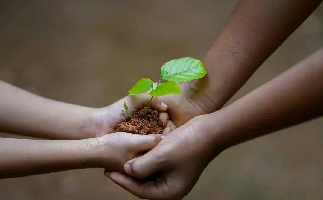 “妈妈，为什么要读书？”这位妈妈的回答太好了！“一个空瓶子，值一毛