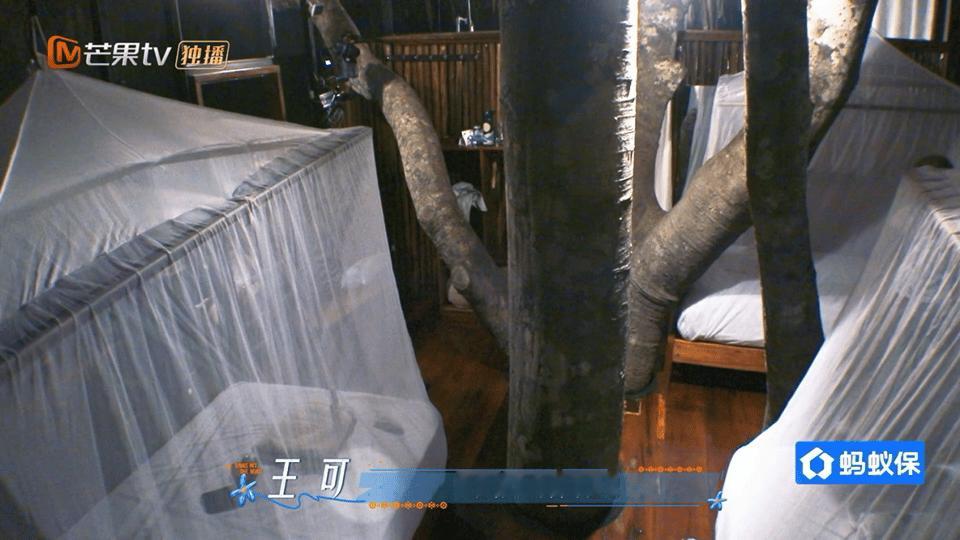 林依晨开导王可王可说妈妈把九成时间都给了她原生家庭的温柔共鸣！被妈妈全身心偏爱