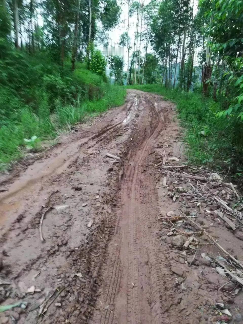 宜宾市赵场街道青龙村10组村民众筹30万修路，10年间却未见动工，引发广泛关注。