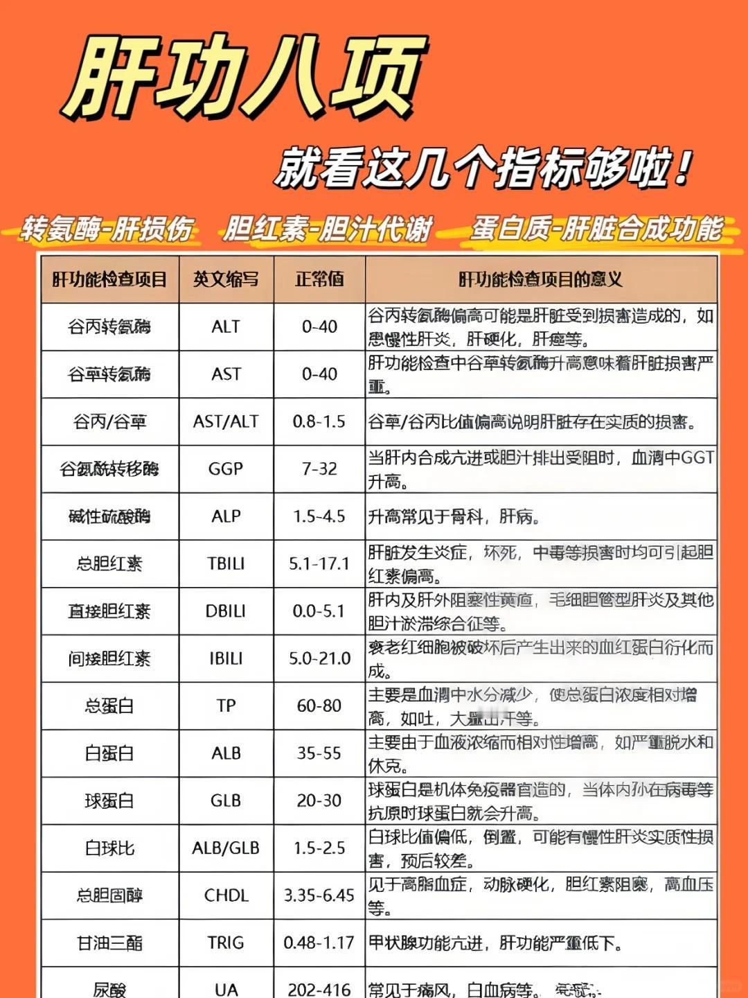 作为肝病科医生，我常被患者问：“医生，肝功能检查单上的指标到底怎么看？”今天