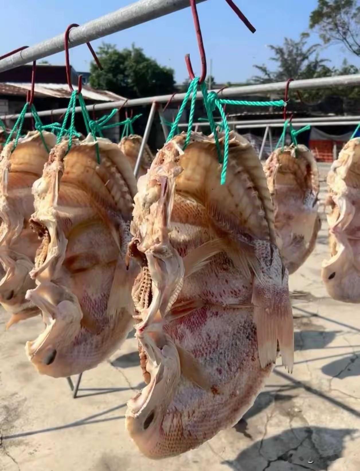 这是什么东西？第一眼真没有辨认出来，还以为是羊头肉或是猪头肉呢，经过仔细辨认后发