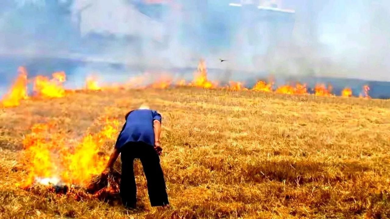 村里三叔烧荒，人没在了地里。老妈昨天跟我说了件村里的事，听完特别唏嘘。