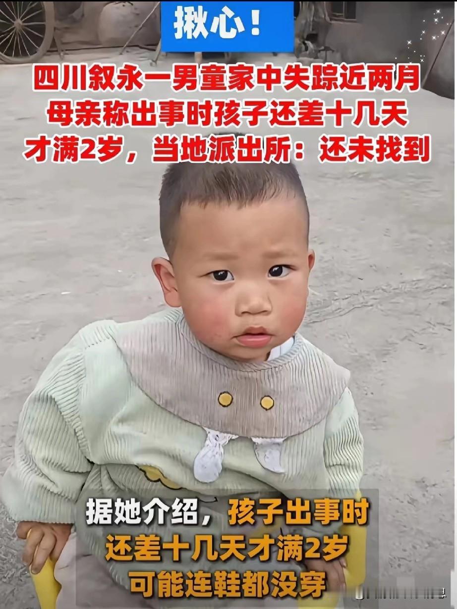 四川泸州两岁男孩罗锦程，已失踪140多天，消失当天的情况是这样的：外婆出门砍竹子