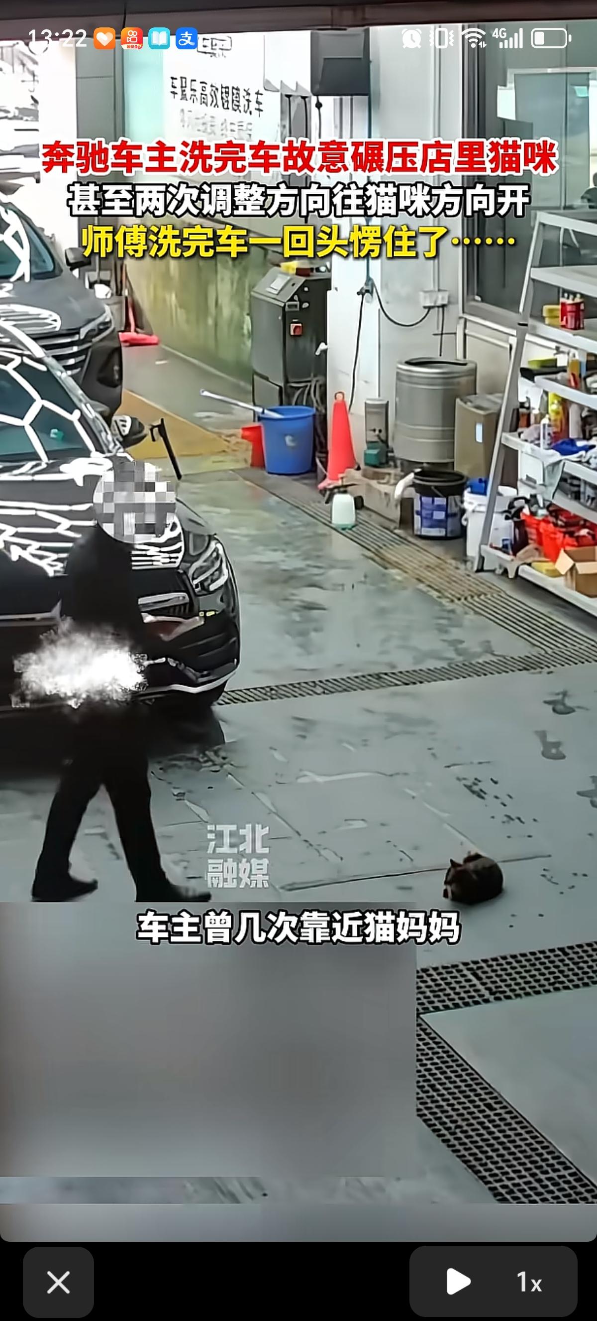 奔驰车主洗车过程中发现店主家养的猫咪，后两次调整车轮方向，向猫咪方向开，直接用车
