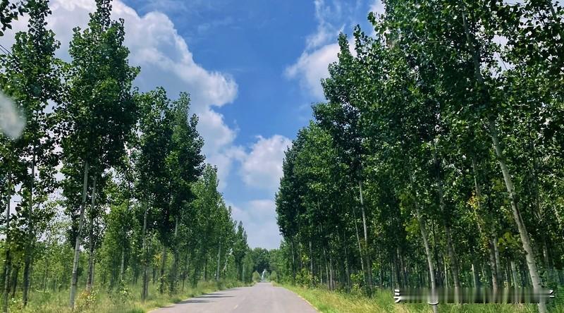 看到“落笔千言思绪远”这个上联，瞬间就来了兴致。这上联意境很妙，落笔就有千言，思