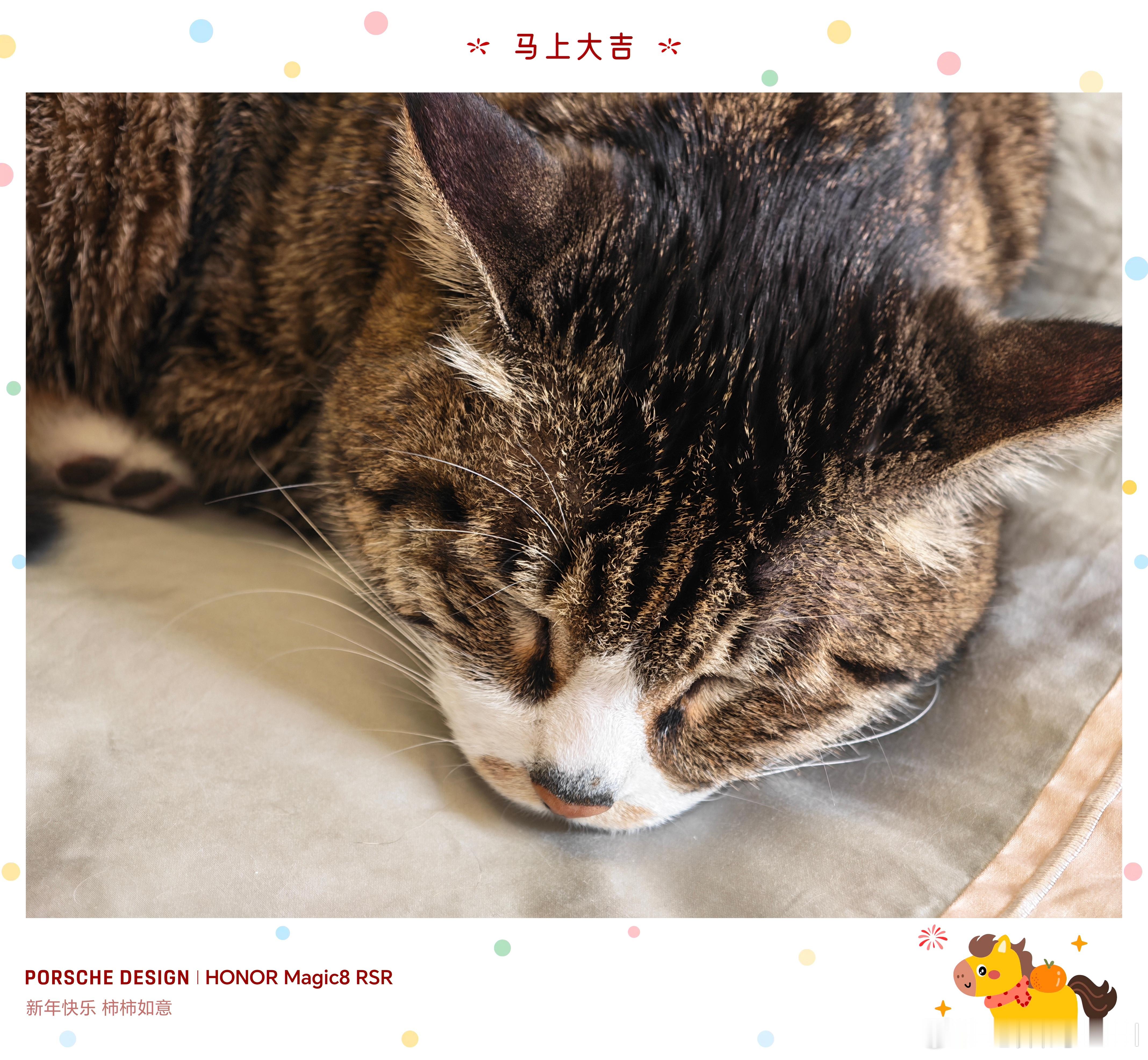 两只猫猫团，在我的房间里睡得也太自然了