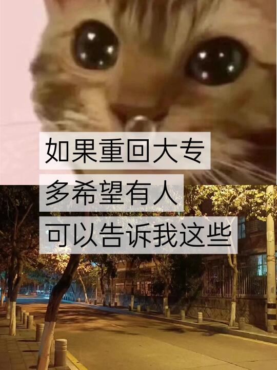 如果重回大专，多希望有人能告诉我……