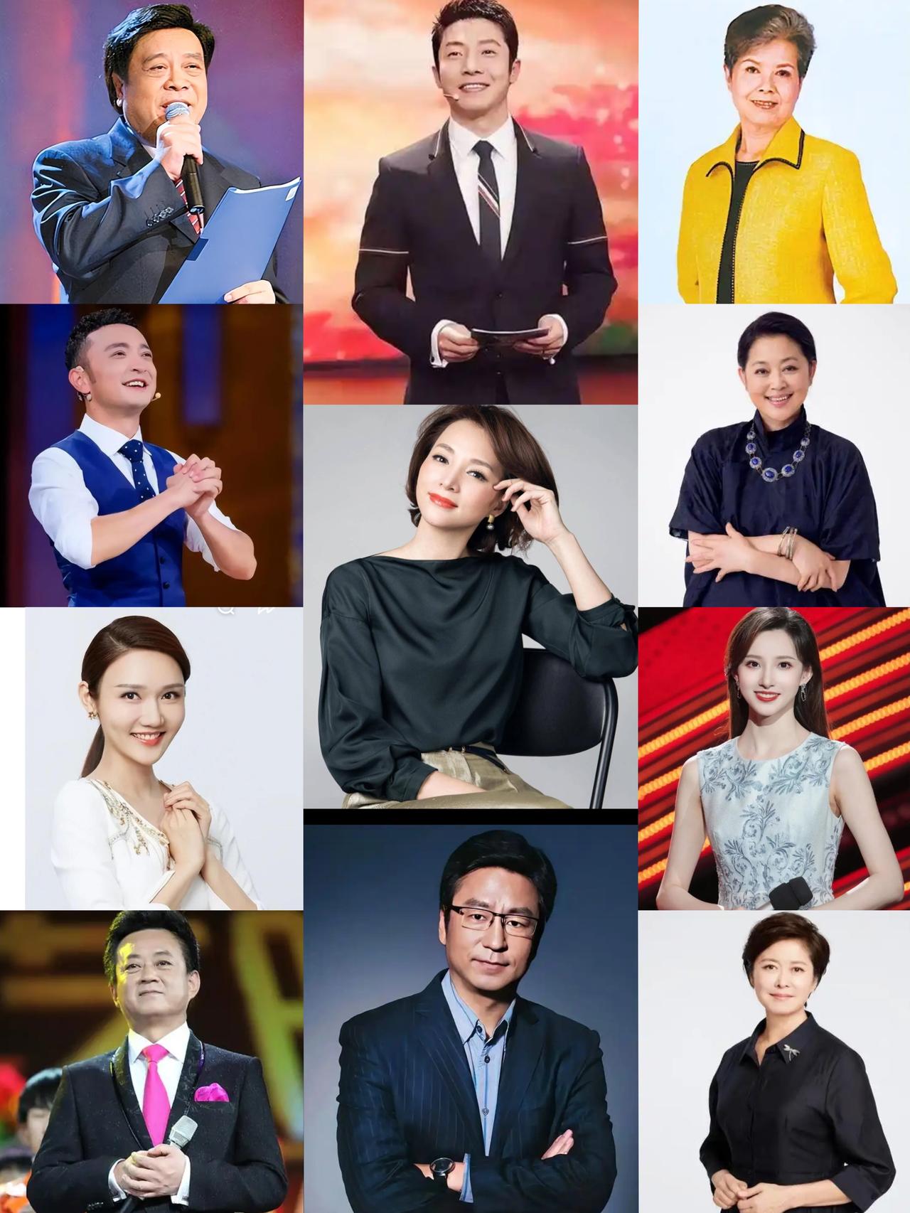 央视主持人的不同风格！沈力：和蔼可亲，如慈祥的长辈。赵忠