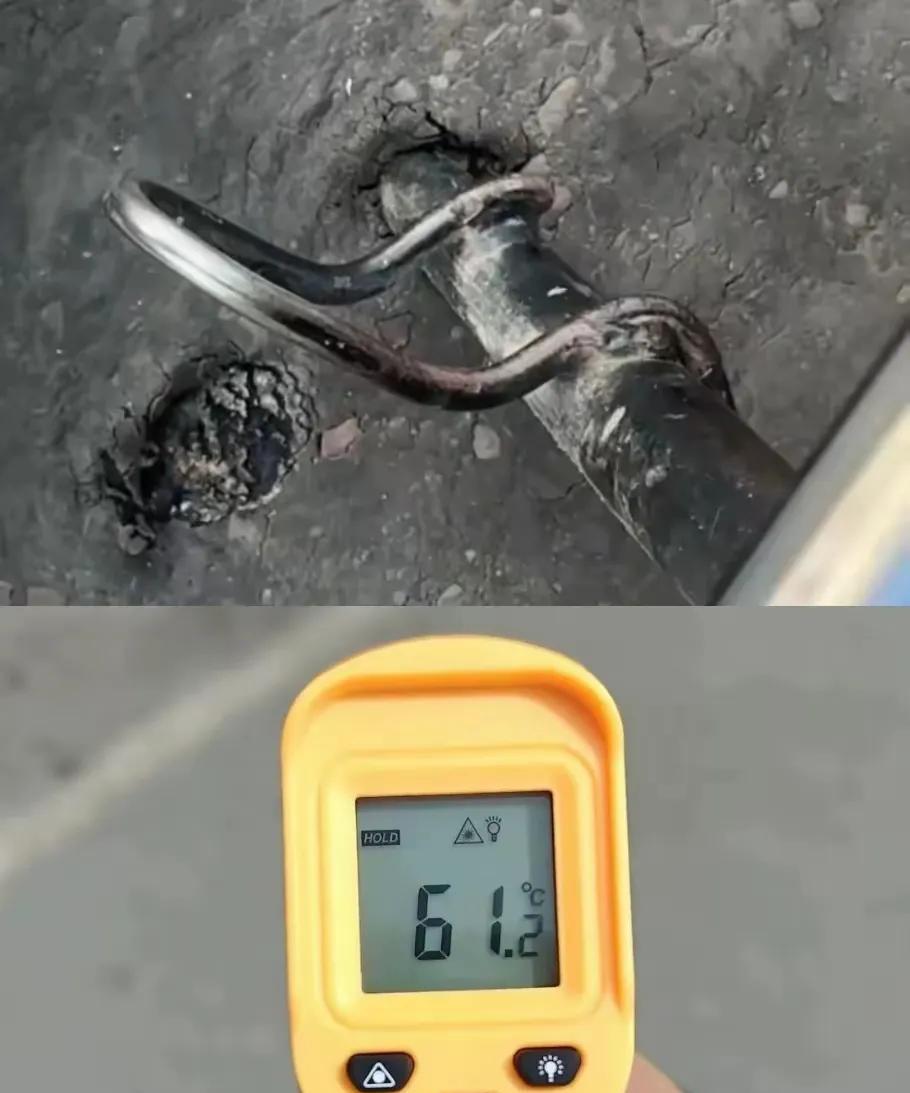 今年怎么了？世界持续高温让人们不寒而栗！全球气候变暖问题不断显现，他不仅影响
