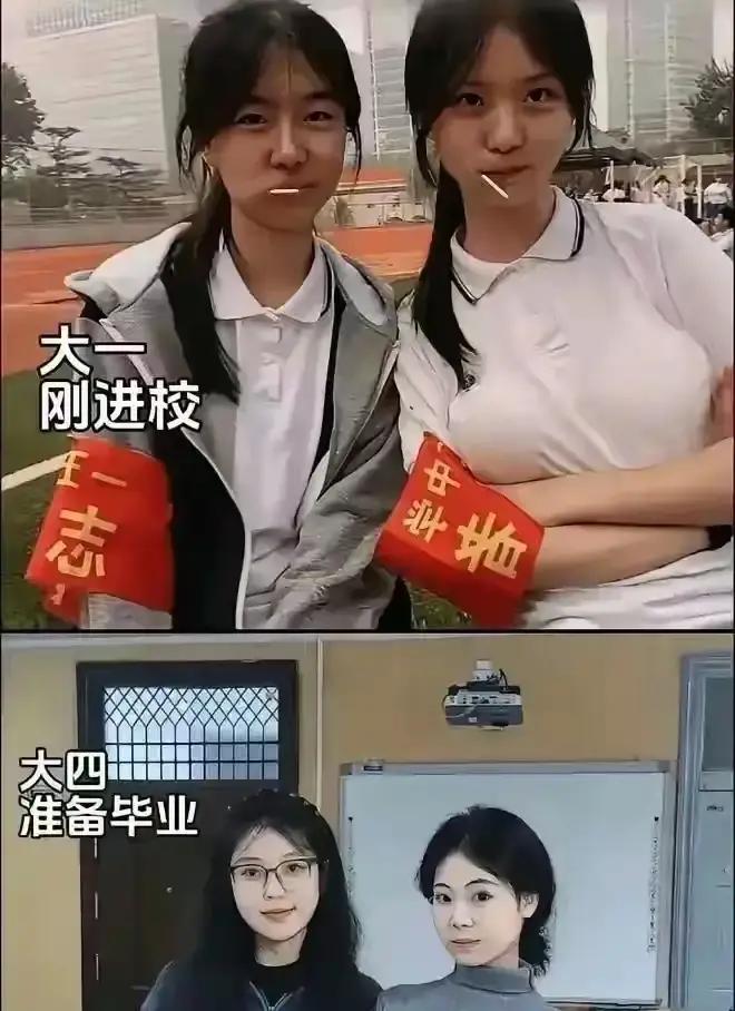 我想知道三年他们经历了什么