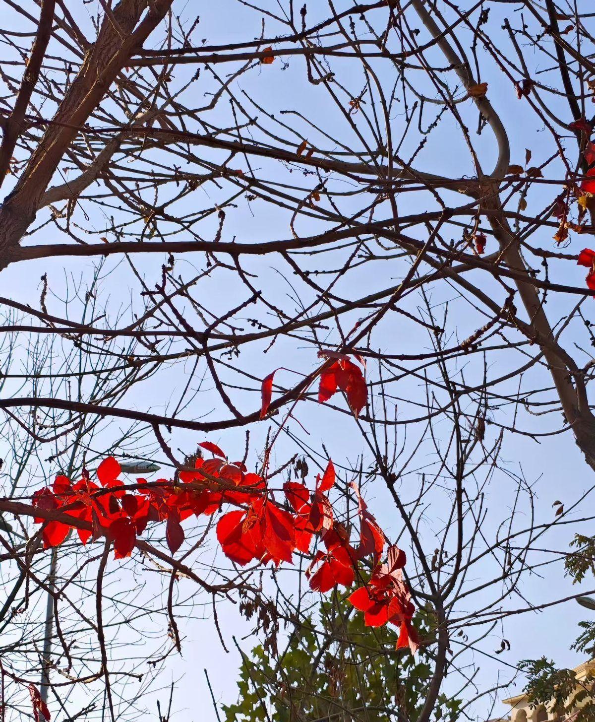 刚在饭店吃饭时，无意间听到两人聊天，一个人说从10月1号到现在刚好40天，挣了1