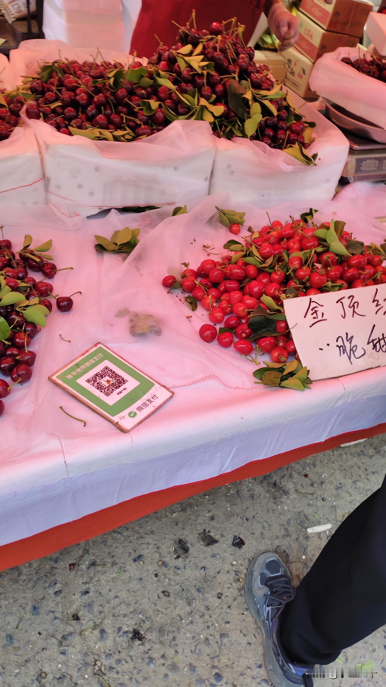 什么都吵吵当地的，樱桃花还没卸完了吧，还什么大地金顶红，大地美早。我都开始怀疑怕