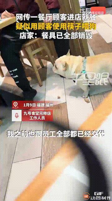 这样的餐厅以后谁还敢去啊！福建福州一家餐厅内，一位顾客擅自将小狗带进去，然后直接