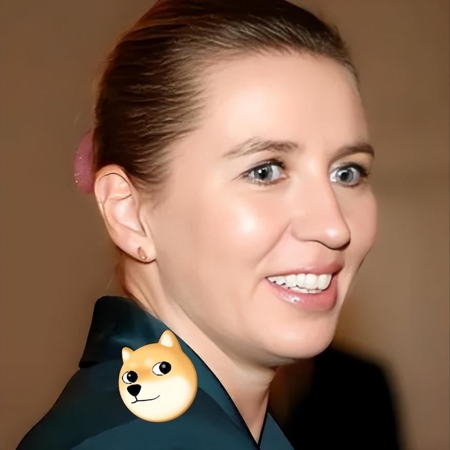 弗雷泽里克森在国际场合被问及“如何看待中国的国际角色”时，表示：“中国对俄乌