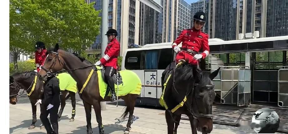 大连女骑警运输专用车，网友说：马匹的运输与饲养成本不低呀，大连经济还是好啊休闲骑