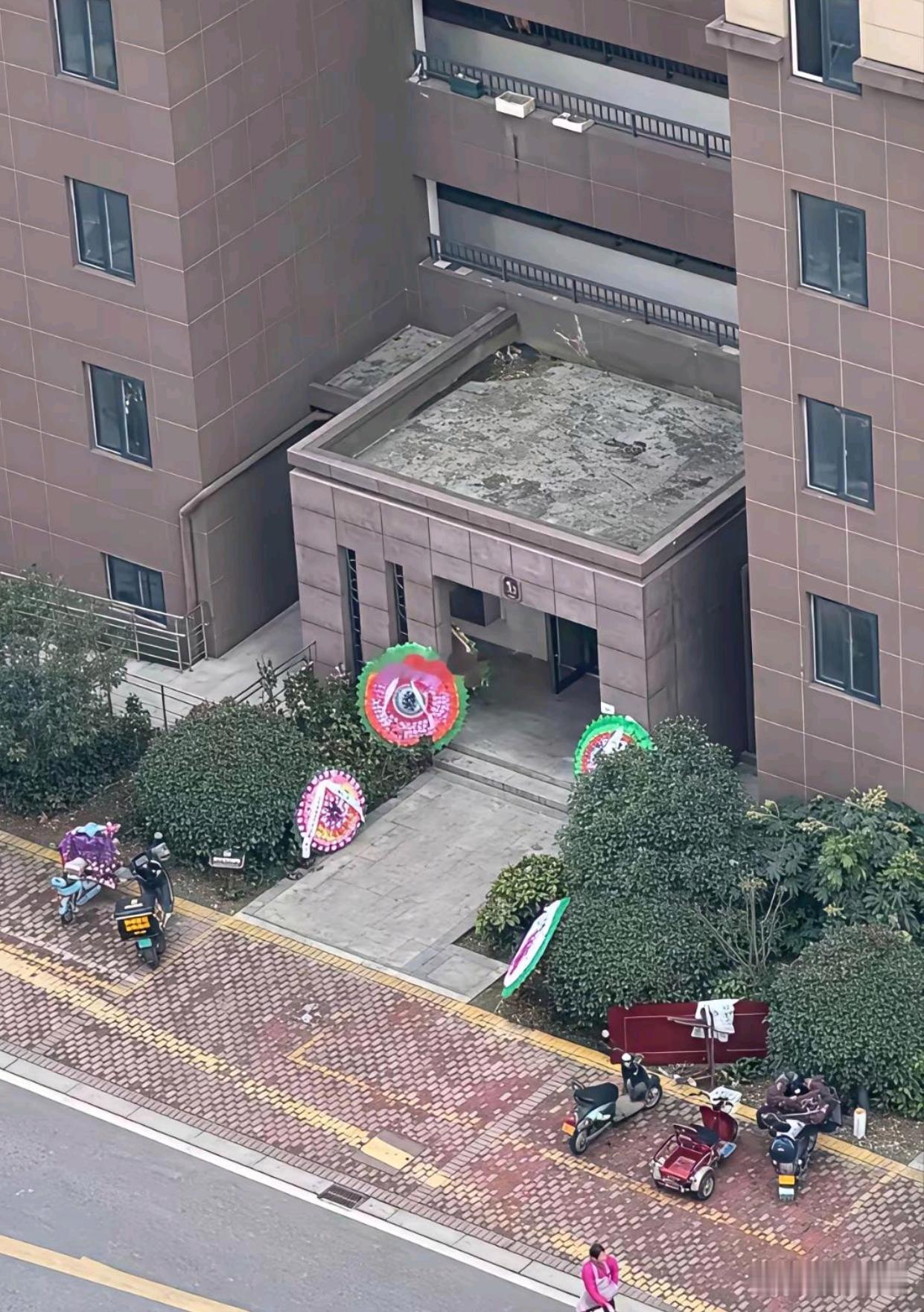 这是在干嘛？