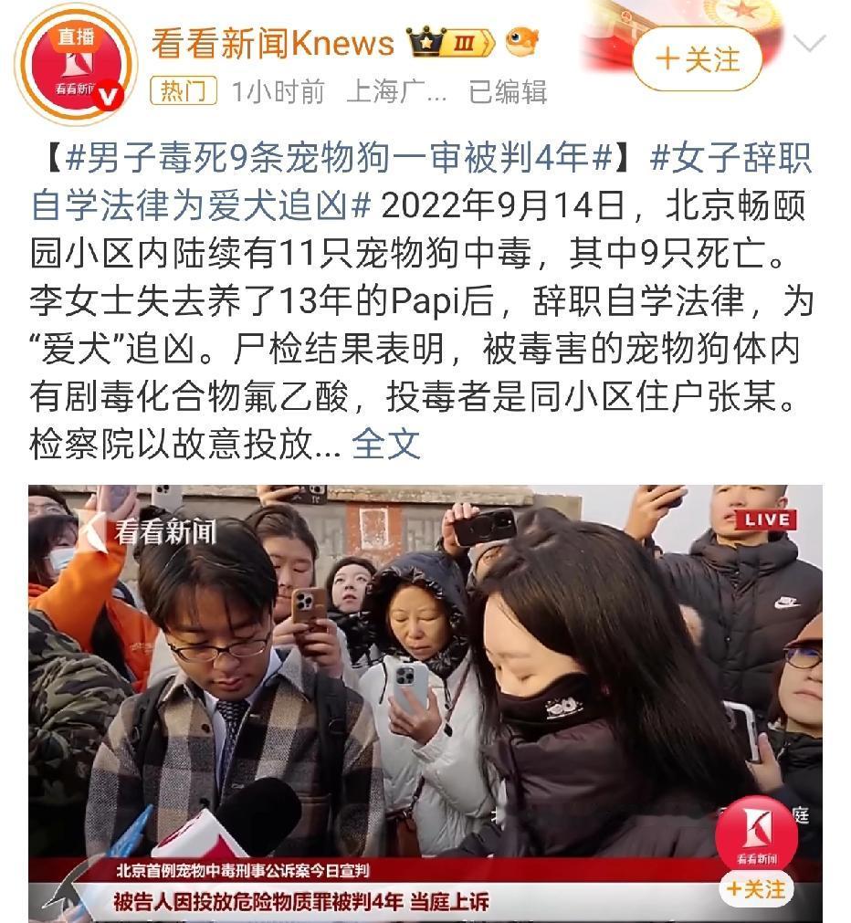 狗被毒死，李女士辞职追凶3年，最后把凶手送上法庭，凶手毒死小区里的9条宠物狗，凶