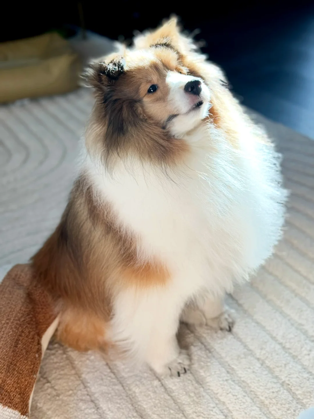 仙品，进来品一品