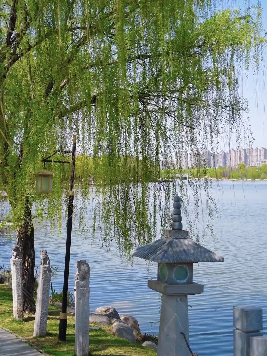 真不是杭州西湖🌿西安这片抹茶绿才叫治愈❗️