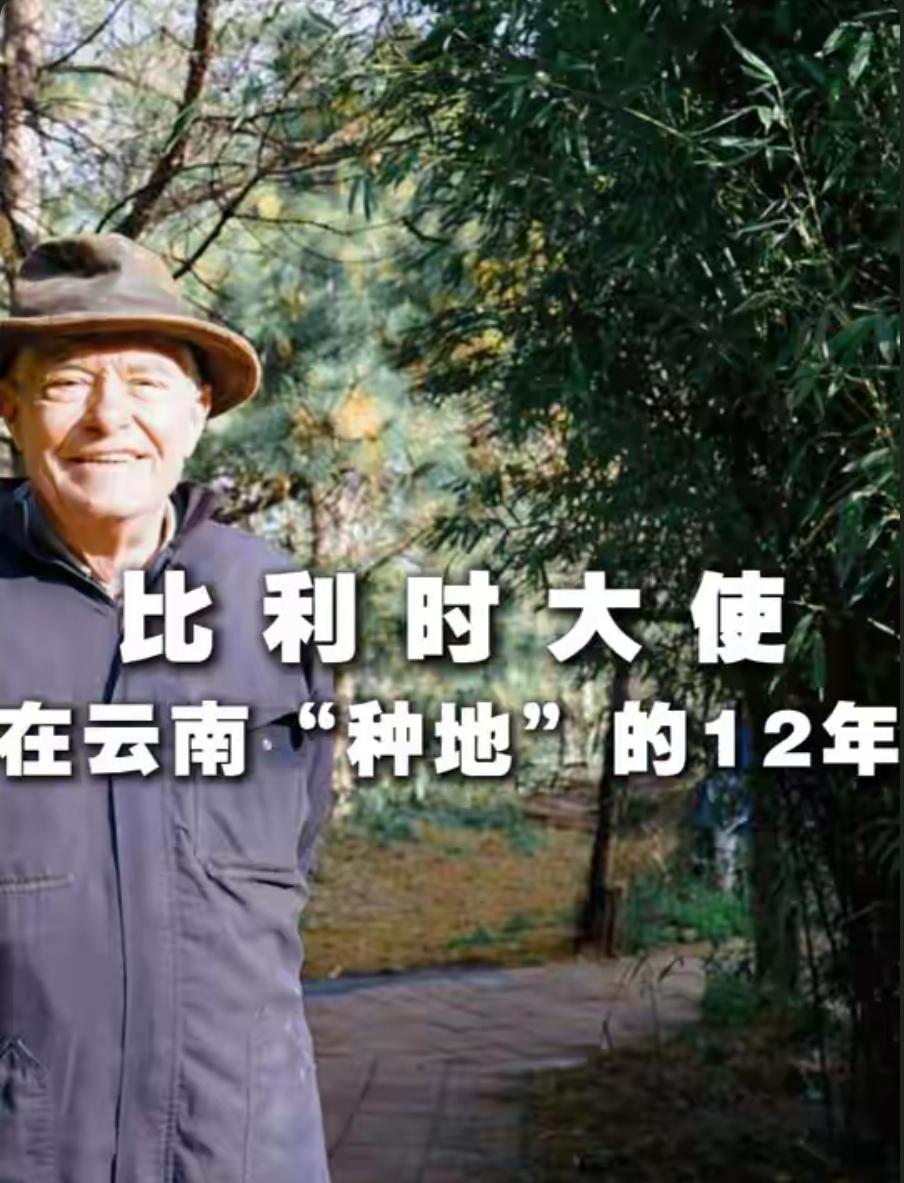 比利时前驻华大使奈斯，做出了令人意外的人生选择。卸任外交职务后，他既没有返回欧洲