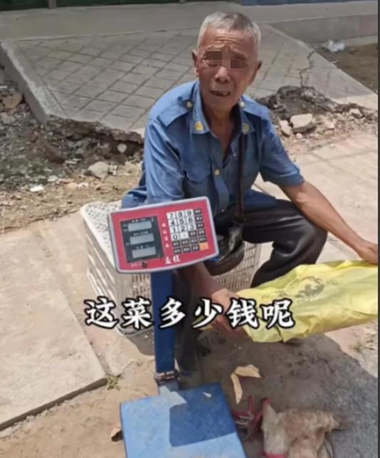 2024年山东，儿子10多年前车祸去世，儿媳跟着人跑了！78岁大爷独自抚养孙子长