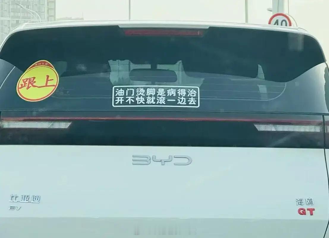 这海鸥车主有点狂啊，不过市区一般的油车还真崩不过他​​​